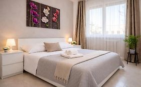 Casa Bramante - Comfort tra Inalpi Arena, Ospedali e Centro